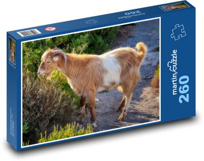 Kozioł - zwierzę, rogi - Puzzle 260 elementów, rozmiar 41x28,7 cm
