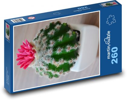 Kaktus - květ, květina - Puzzle 260 dílků, rozměr 41x28,7 cm