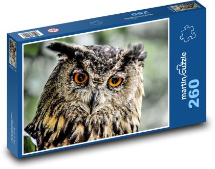 Owl - owl, bird - Puzzle 260 pieces, size 41x28.7 cm 