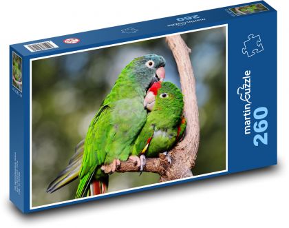 Papoušci - ptáci, zvířata - puzzle 260 dílků