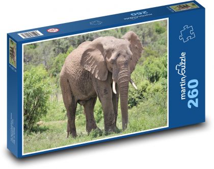 Slon - zvíře, safari - puzzle 260 dílků