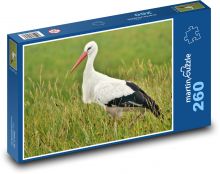 Bocian - ptak, pole Puzzle 260 elementów - 41x28,7 cm