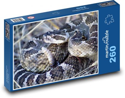 Had - chřestýš, zvíře - Puzzle 260 dílků, rozměr 41x28,7 cm