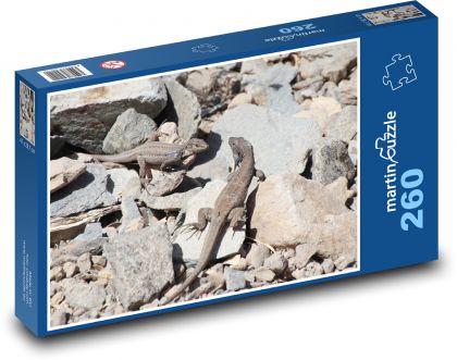 Lizards - Canary Islands, animals - Puzzle 260 pieces, size 41x28.7 cm 