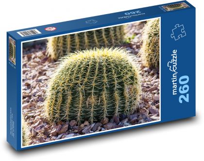 Kaktus - ostrý, květina - Puzzle 260 dílků, rozměr 41x28,7 cm