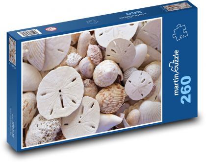 Muszle - plaża, wybrzeże - Puzzle 260 elementów, rozmiar 41x28,7 cm