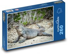 Leguan - Eidechse, Reptil Puzzle 260 Teile - 41 x28,7 cm