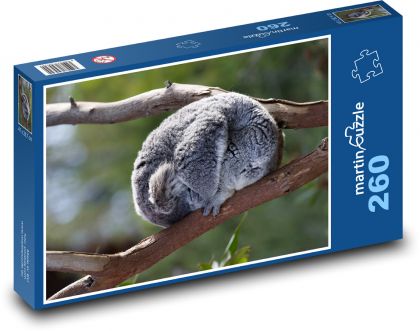 Koala - vačkovec, zviera - Puzzle 260 dielikov, rozmer 41x28,7 cm