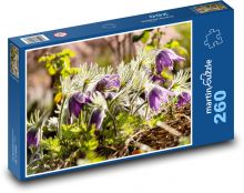 Blumen - Krokusse, Frühling Puzzle 260 Teile - 41 x28,7 cm