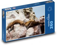 Lachtani - zvířata, skály Puzzle 260 - 41x28,7 cm