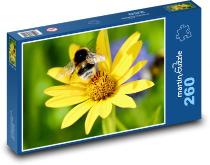 Čmelák na žlutém květu - puzzle 260 dílků