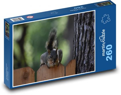 Veverka na plotě  - Puzzle 260 dílků, rozměr 41x28,7 cm