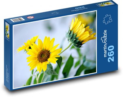 Slunečnice - žluté květy - puzzle 260 dílků