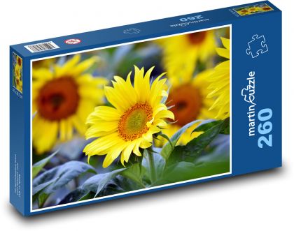 Slunečnice - žlutý květ - Puzzle 260 dílků, rozměr 41x28,7 cm