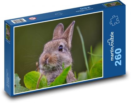 Králíček na louce  - Puzzle 260 dílků, rozměr 41x28,7 cm