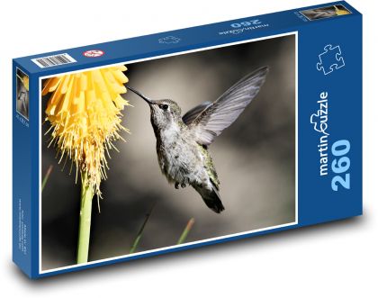 Kolibřík - pták - puzzle 260 dílků