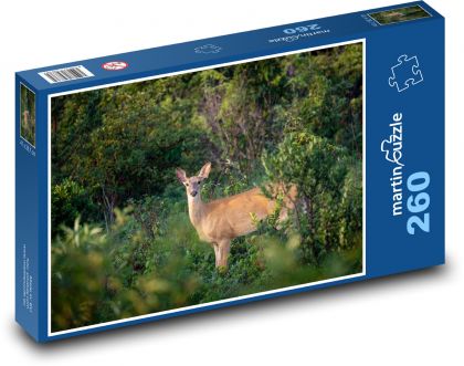 Srnka v lese  - puzzle 260 dílků