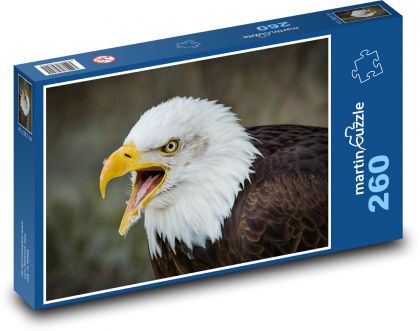 Orel bělohlavý - puzzle 260 dílků