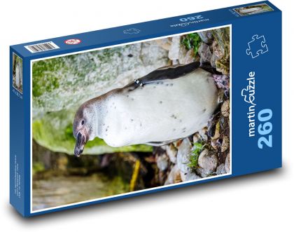 Pingwin - ptak nielot - Puzzle 260 elementów, rozmiar 41x28,7 cm