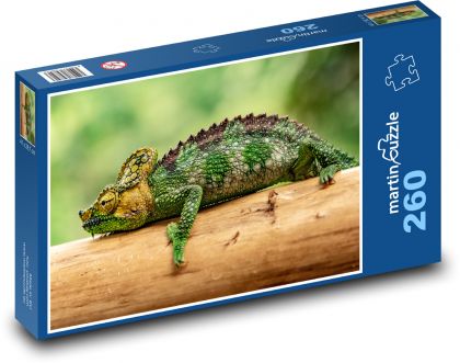 Green chameleon - Puzzle 260 pieces, size 41x28.7 cm 