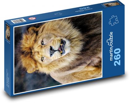 Lev - veľká mačka, zviera - Puzzle 260 dielikov, rozmer 41x28,7 cm