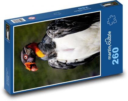 Sup - velký černý pták - puzzle 260 dílků