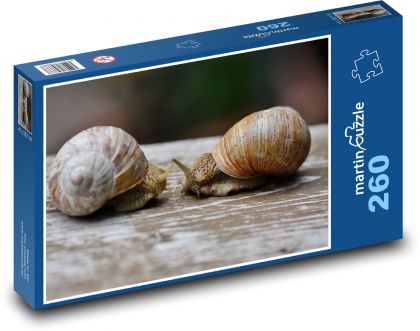 Šneci - zvířata, ulita  - Puzzle 260 dílků, rozměr 41x28,7 cm