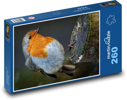 Lippenstift auf einem Stumpf - ein Vogel im Wald - Puzzle - 260 Teile