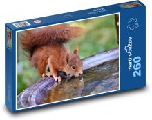 Zrzavá veverka pijící z kašny - zvíře Puzzle 260 dílků - 41 x 28,7 cm
