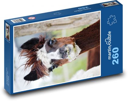 Lama - alpaka, zviera - Puzzle 260 dielikov, rozmer 41x28,7 cm