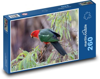 Austrálsky kráľovský papagáj - vták na vetve - Puzzle 260 dielikov, rozmer 41x28,7 cm