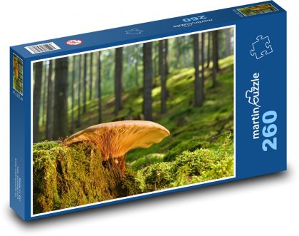 Huby na pni - les, príroda - Puzzle 260 dielikov, rozmer 41x28,7 cm