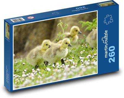 Káčatko - kačice - Puzzle 260 dielikov, rozmer 41x28,7 cm