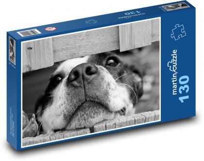 Pes vystrkující čumák v plotě - Puzzle 130 dílků, rozměr 28,7x20 cm