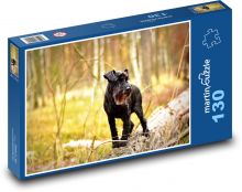 Pes - Čierny knírač v lese Puzzle 130 dielikov - 28,7 x 20 cm 