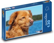 Zlatý retrívr u vody Puzzle 130 dílků - 28,7 x 20 cm