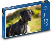 Černý pes v trávě Puzzle 130 dílků - 28,7 x 20 cm