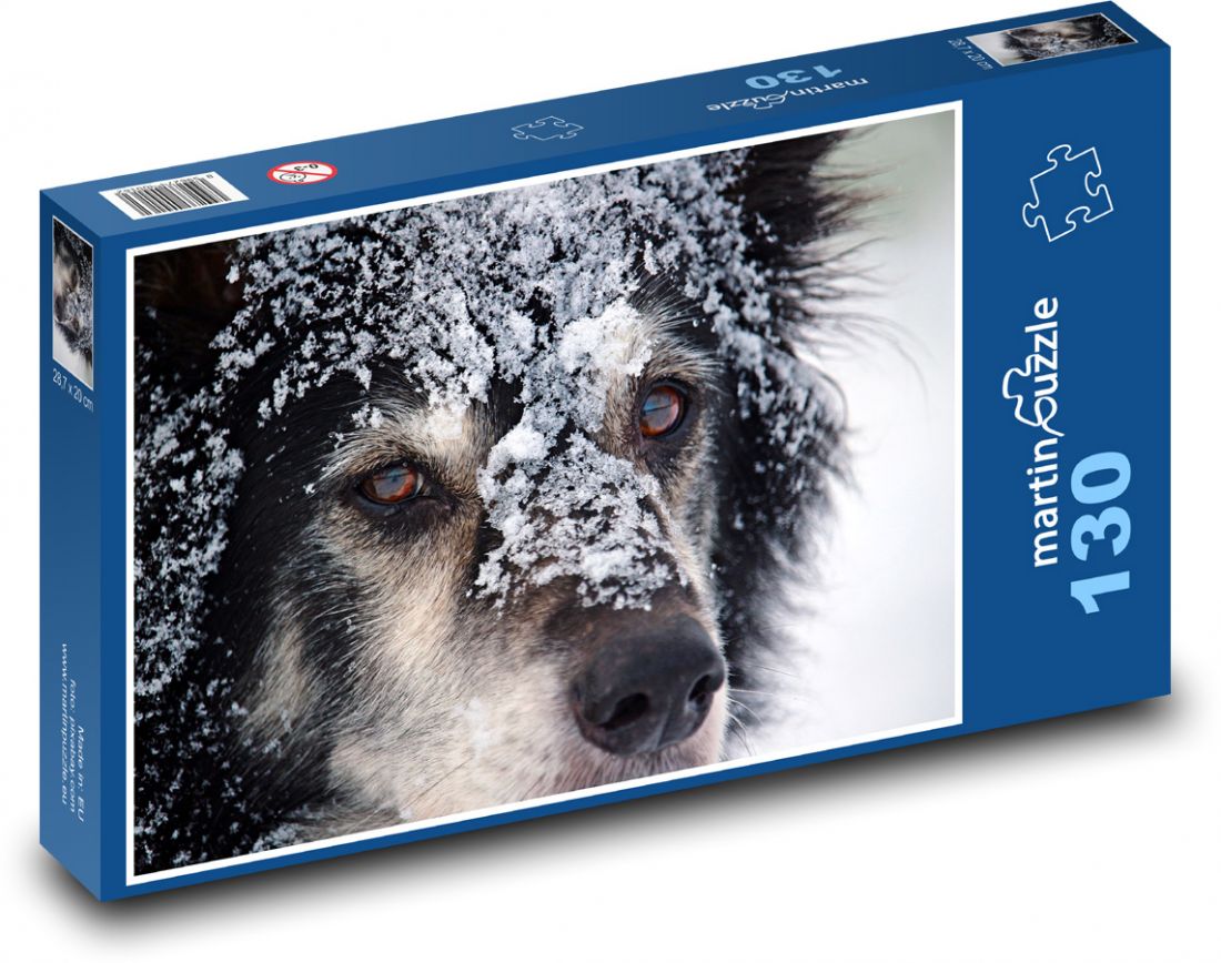 border collie puzzle