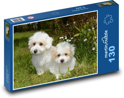 Pes - šteniatka Coton de Tulear - Puzzle 130 dielikov, rozmer 28,7x20 cm 
