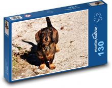 Cute dachshund on a walk Puzzle 130 pieces - 28.7 x 20 cm