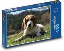 Beagle ruht im Gras Puzzle 130 Teile - 28,7x20 cm