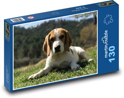 Beagle spoczywający w trawie - Puzzle 130 elementów, rozmiar 28,7x20 cm