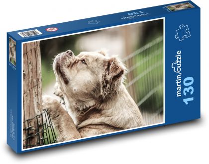 Przemyślany pies przy ogrodzeniu - Puzzle 130 elementów, rozmiar 28,7x20 cm