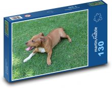Pes na trávniku, americký pitbulteriér Puzzle 130 dielikov - 28,7 x 20 cm