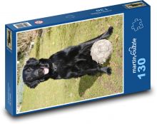 Piłkarz psów Puzzle 130 elementów - 28,7x20 cm