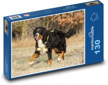 Jesenná prechádzka, Bernský salašnícky pes Puzzle 130 dielikov - 28,7 x 20 cm