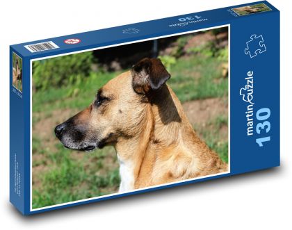 A dog waiting for a command - Puzzle 130 pieces, size 28.7x20 cm 