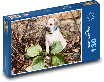 Malý prieskumník psov - Puzzle 130 dielikov, rozmer 28,7x20 cm 