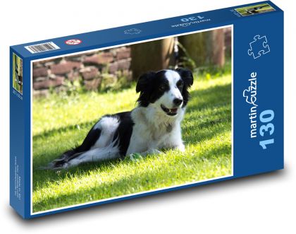 Summer fun with a dog - Puzzle 130 pieces, size 28.7x20 cm 