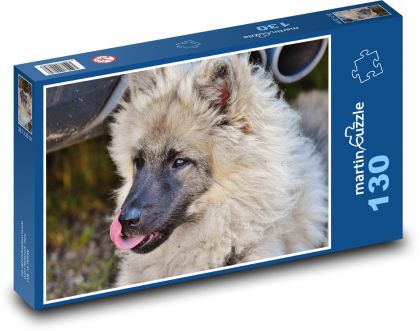Wolfsaussehen eines Hundes - Puzzle - 130 Teile